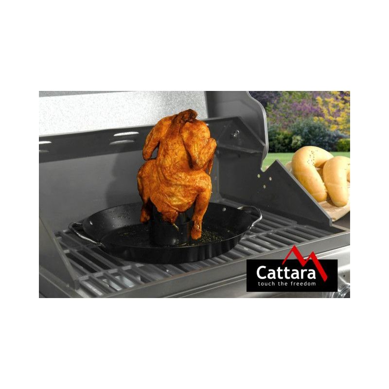 Sistem pentru gatit pui intreg la gratar Cattara TT13119