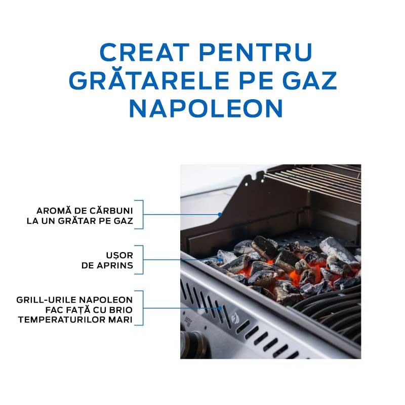 Tava din fonta pentru carbuni si afumare Napoleon 67732