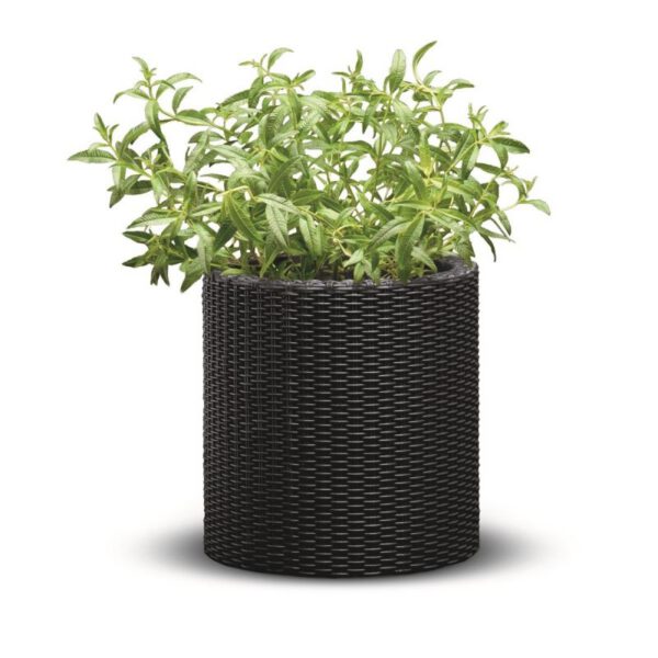 Ghiveci cilindric imitatie ratan maro Keter Cylinder S